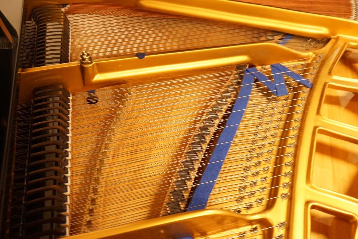 Blüthner 165cm Flügel