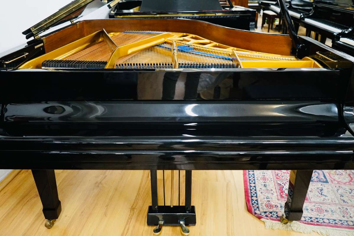 Blüthner 165cm Flügel