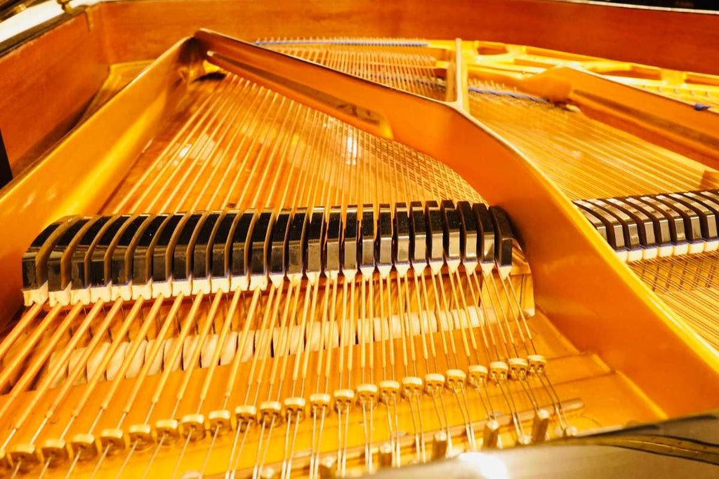 Blüthner 165cm Flügel