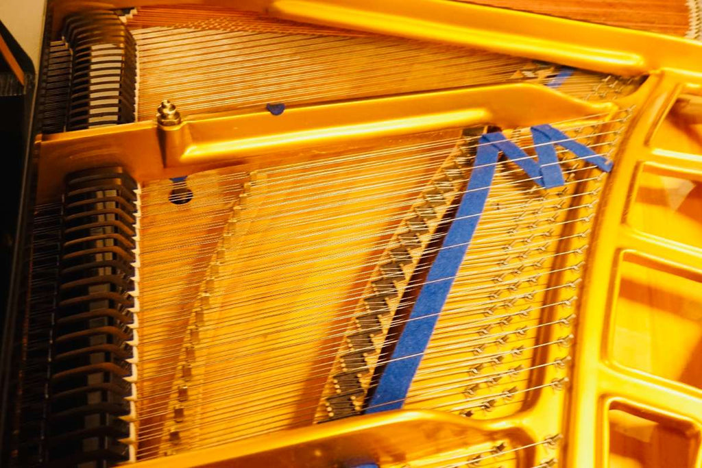 Blüthner 165cm Flügel