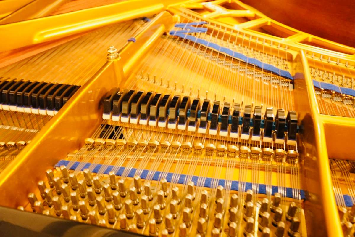 Blüthner 165cm Flügel