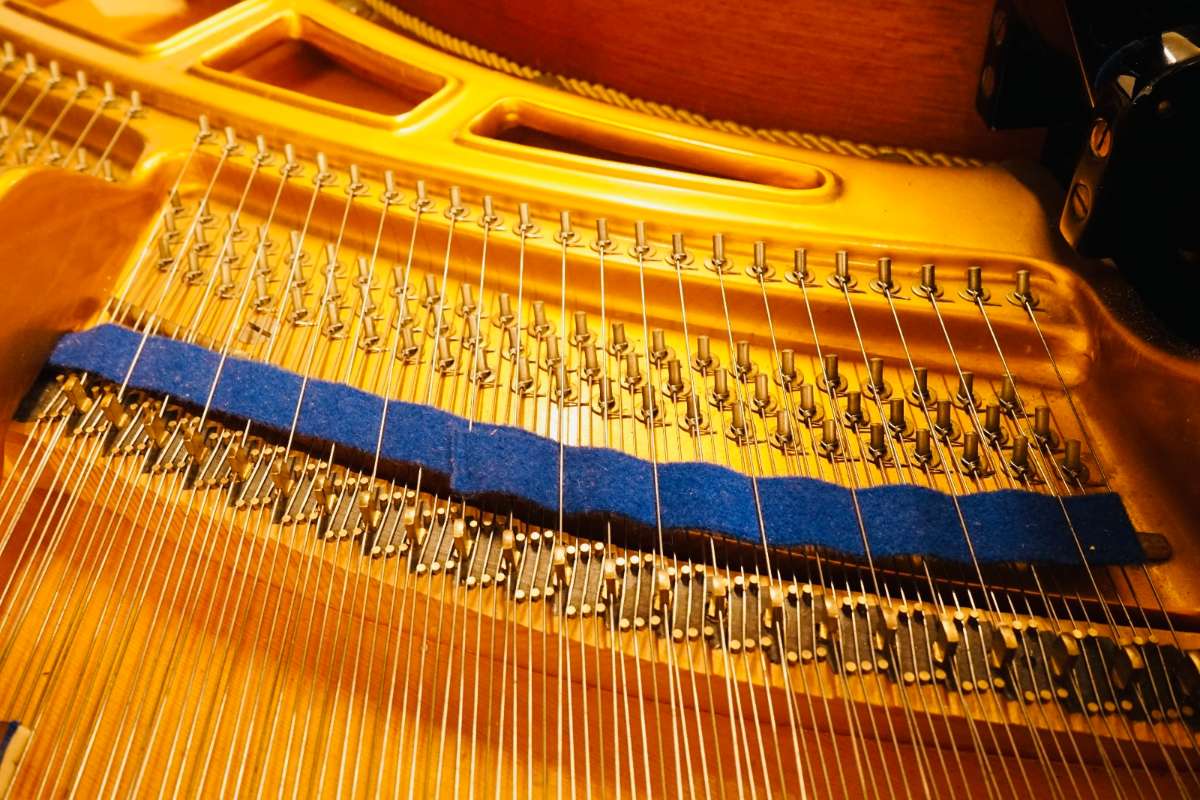 Blüthner 165cm Flügel