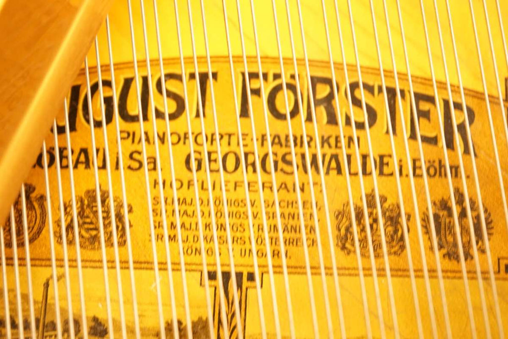 August Förster 160cm Flügel