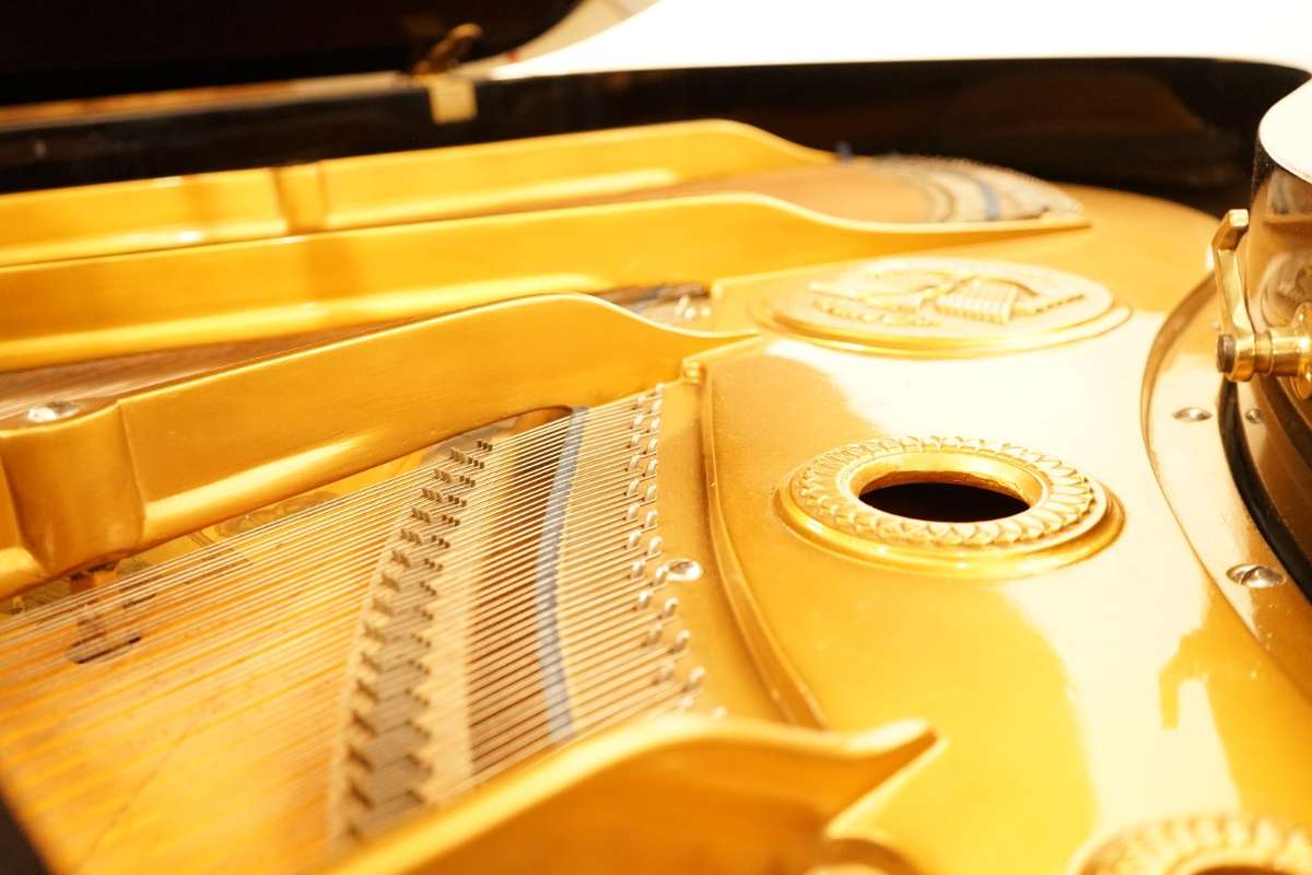 August Förster 160cm Flügel