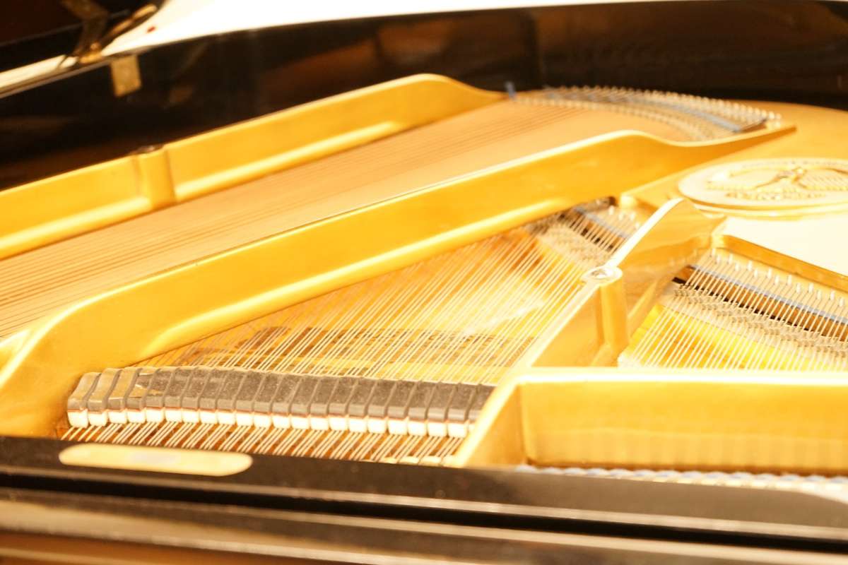 August Förster 160cm Flügel