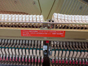 Yamaha Self play piano/