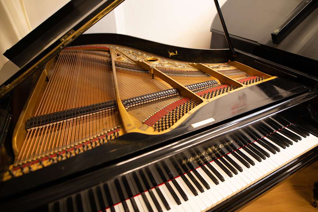 Hagspiel & Comp 180cm Flügel