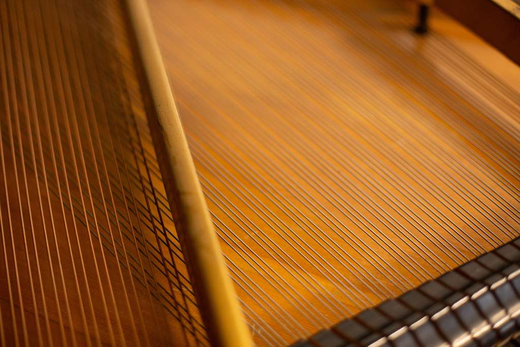 Hagspiel & Comp 180cm Flügel