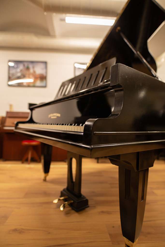 Zeitter & Winkelmann 190cm Flügel