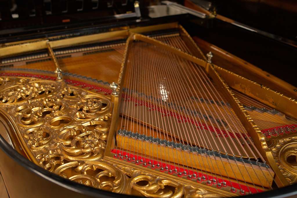 Zeitter & Winkelmann 190cm Flügel