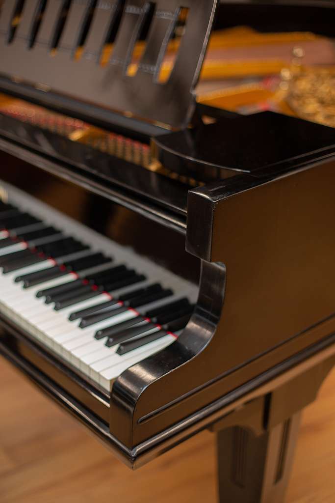 Zeitter & Winkelmann 190cm Flügel