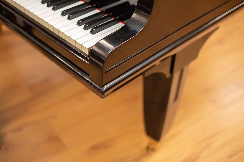 Zeitter & Winkelmann 190cm Flügel