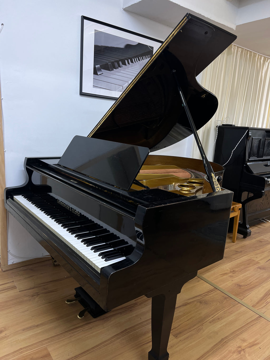 Launberger & Gloss Renner action Flügel