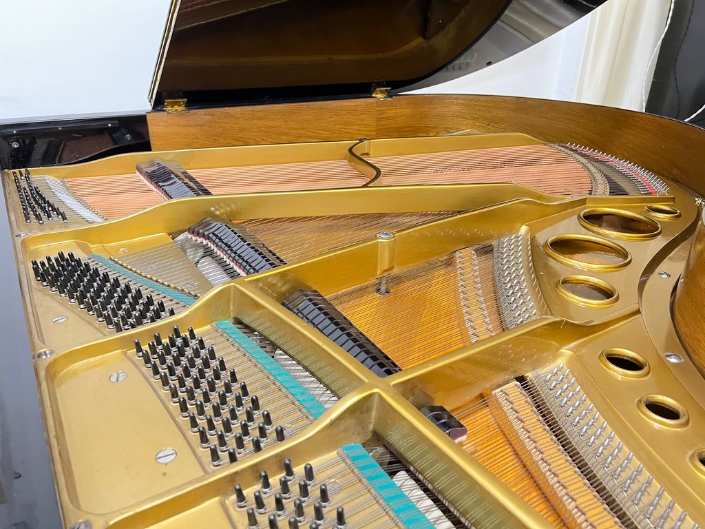 Launberger & Gloss Renner action Flügel