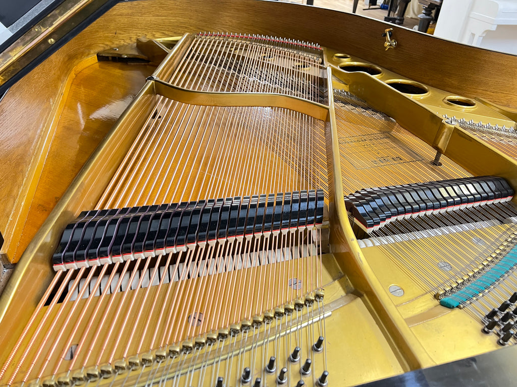 Launberger & Gloss Renner action Flügel