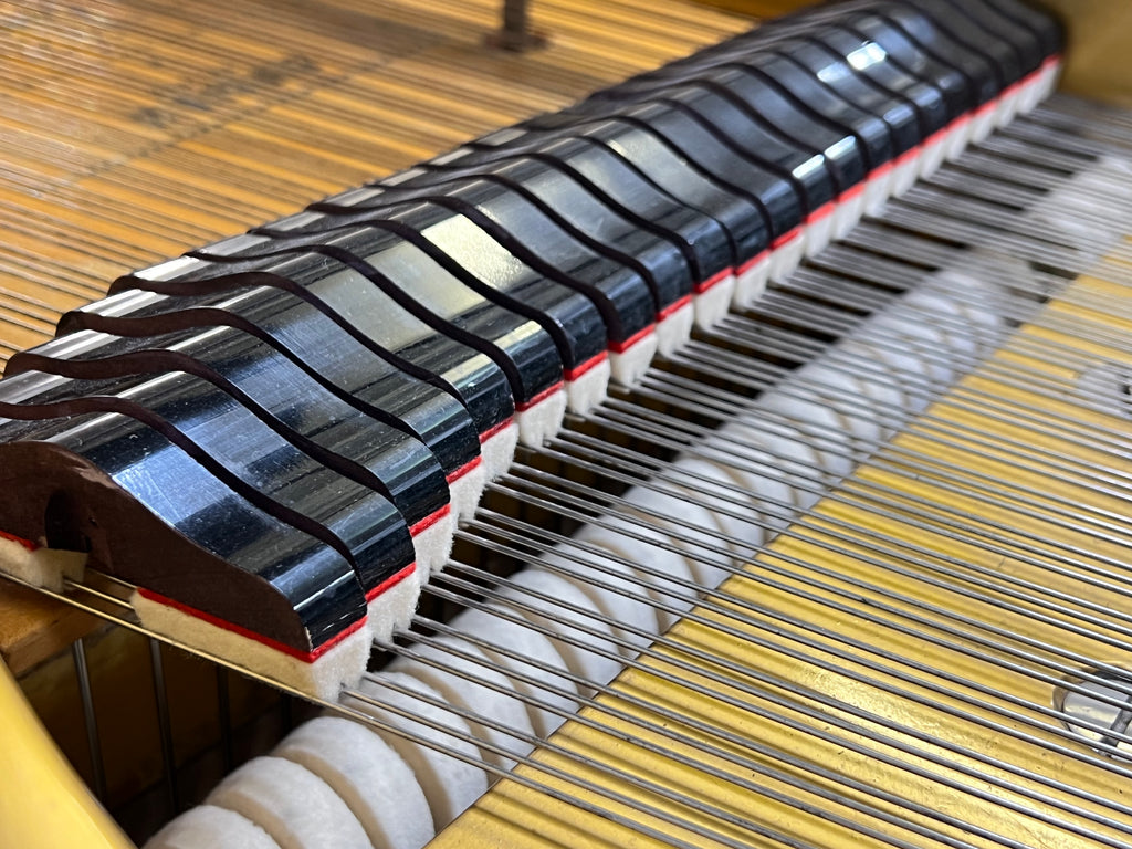 Launberger & Gloss Renner action Flügel