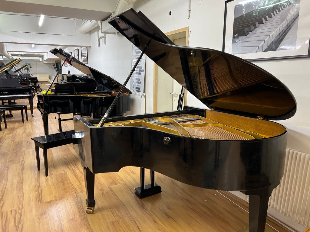 Launberger & Gloss Renner action Flügel