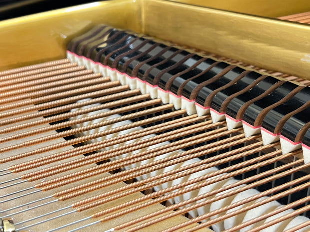C. BECHSTEIN,Mod.M 185cm Flügel