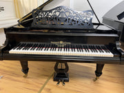 Hagspiel & Comp 185cm Flügel