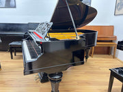 Rösler Flügel 185