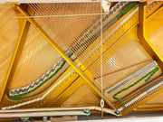 Hohner HP-120 Klavier